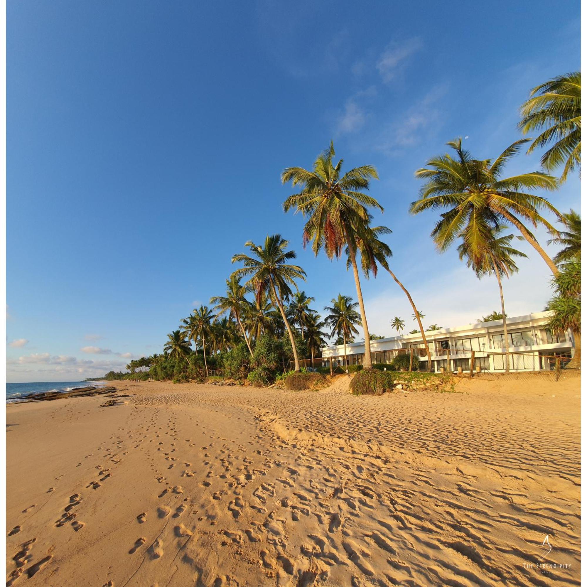 Green Turtle Villa By The Serendipity Collection Bentota Eksteriør bilde